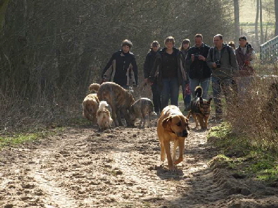 Hundewanderung Brel 03