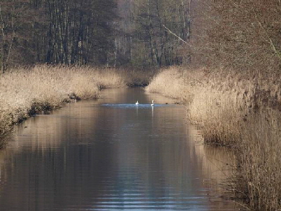 Hundewanderung Brel 05