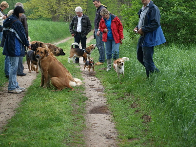 Hundewanderung Brel