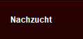 Nachzucht