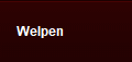 Welpen